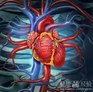 左心房肥大对身体有何影响
