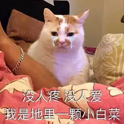 e句话看天下原来布拉德皮特也是个喜欢玩深情人设的渣男附勇往直前抢票活动
