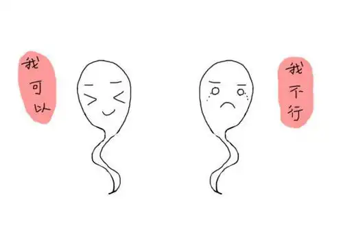 全球男性精子量告急生育能力下降,未来会更严重吗
