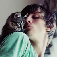 猫咪小帅哥qq男生头像世界被雷到啦欧美男头
