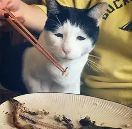 太治愈了,小奶猫调戏小奶狗,无力反抗啊
