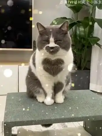 躲过了渣男却躲不过你这只渣猫
