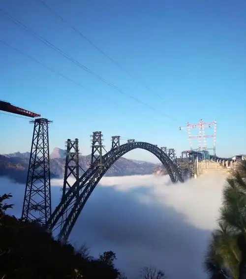 30张罕见的图片,泰国小女孩撞脸赵丽颖,大象把水牛轻轻举过头顶
