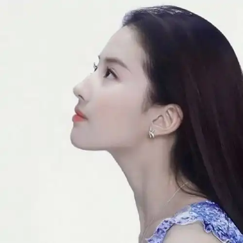 刘亦菲早期好看又小众的头像,大家可关注自取
