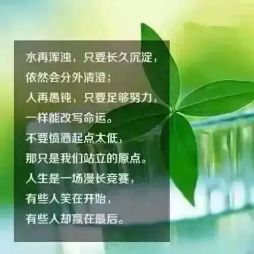 早安正能量语录早安心语正能量图片
