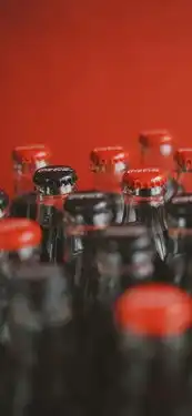 壁纸丨再见了大森林我被歪脖树挂住了
