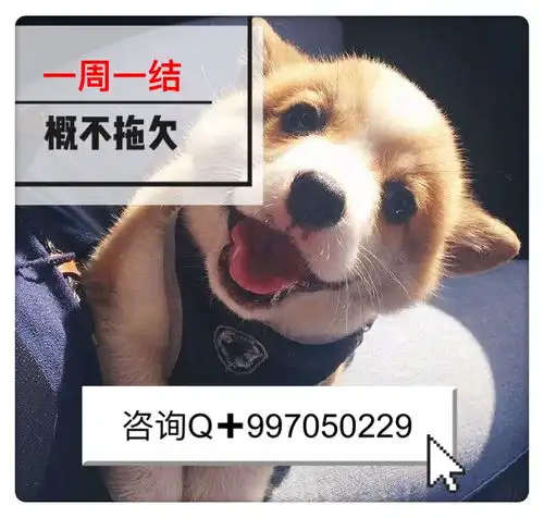 寻有多余时间的小伙伴们做推广了
