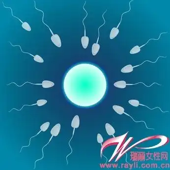 精子与卵子的精彩对话
