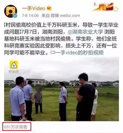 价值千万大学科研玉米被偷可能影响学生无法毕业
