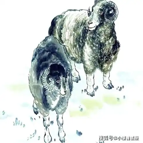 3月中旬到3月下旬,财源滚滚,桃花运上升,人缘旺盛,事业红火的四大属相
