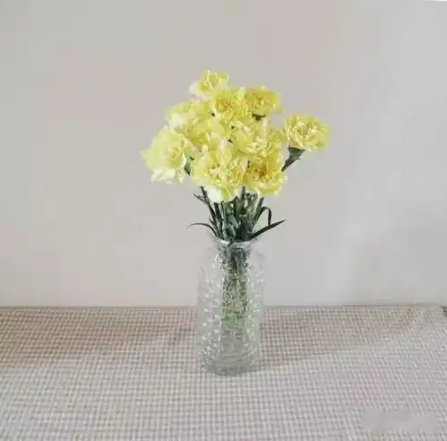 送一束康乃馨给咱娘
