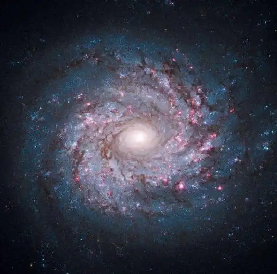 在地球上能观察到银河系吗银河系的图片是怎么拍的
