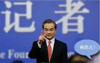 中国超高人气国民男神你被咱们帅气的外长圈粉了吗
