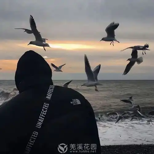 泰兴麻将
