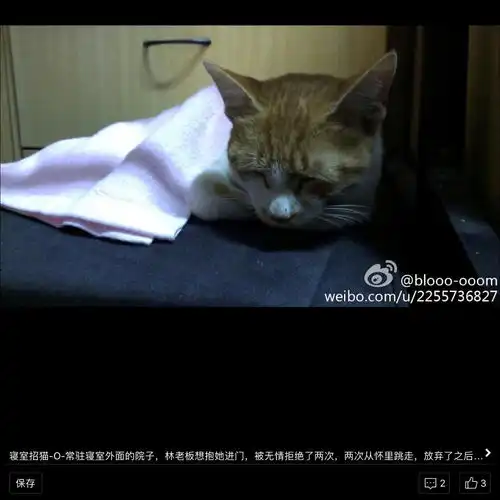 男生宿舍发生过哪些惊为天人之事
