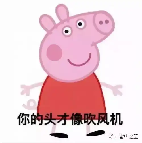 被大雨淋开了脑洞的突然更新2018暑期网红大盘点
