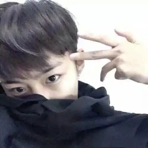 谁有这个头像的另一半,发一下,谢谢
