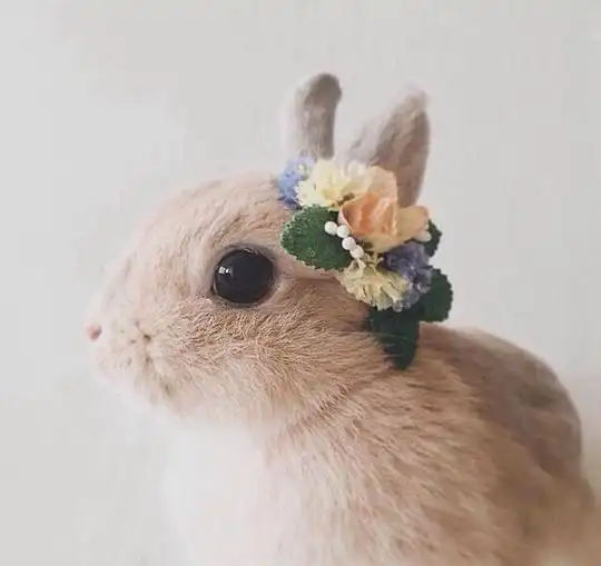 vaan的相册静动若物
