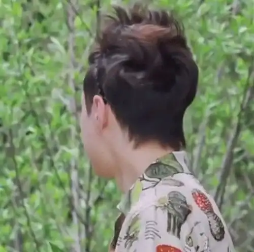 组图张艺兴向往的生活素颜出镜头发蓬乱毫无偶像包袱
