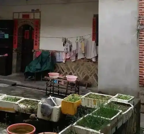 12岁男孩确诊肺癌晚期,得知原因,妈妈崩溃大哭是妈妈害了你
