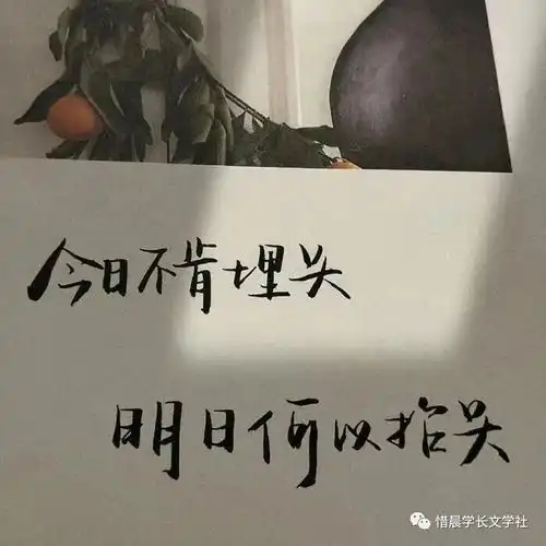 超级治愈的温柔文案
