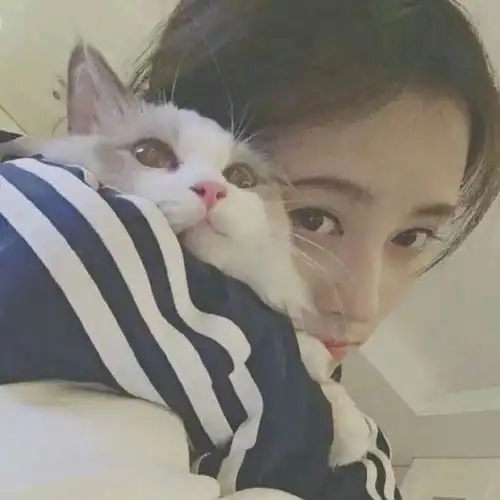 微信头像怎样才能吸引注意
