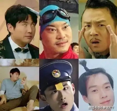 娱乐圈一未解之谜东北男明星都是段子手,咋就没有高冷男神
