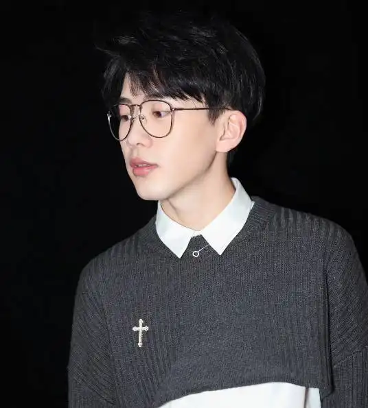 曾被认为是骗子,如今得何炅安利费启鸣2018年要火
