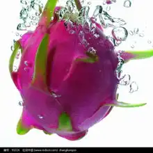 火龙果在水中图片91024水果蔬菜