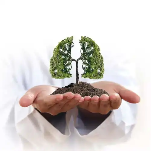 老中医说这三个时辰一定要睡好,否则一身病
