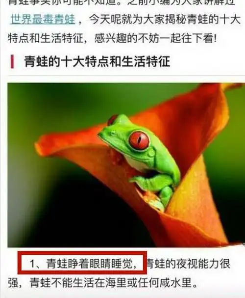 青蛙头像刷屏,据说这几道题目比游戏中的更奇葩,家长表示难消化
