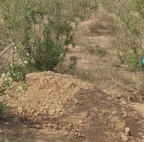 陕西男子将瘫痪母亲扔进废弃墓坑活埋请求母亲出具谅解书
