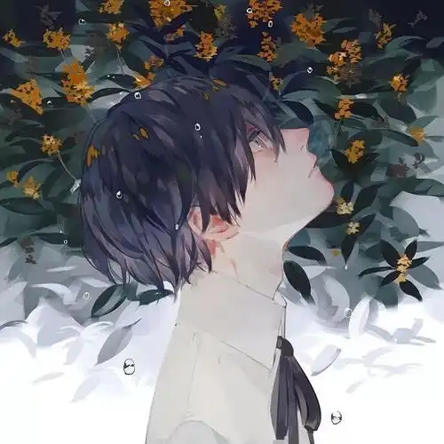 不同风格的男生头像
