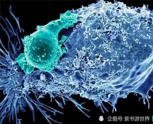 美国泡泡男孩出生就被送进隔离膜,12岁才第一次拥抱妈妈