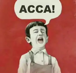 acca一条越来越窄的逆袭之路
