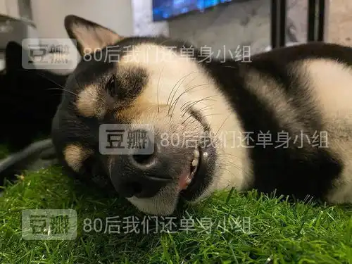 这一生关于你的风景,88年摩羯座男寻找一个年底带...
