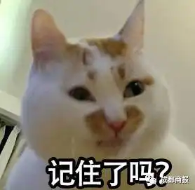 男子被猫抓伤后没在意,脑萎缩死亡小编支招,如何防止你家的猫咪挠人
