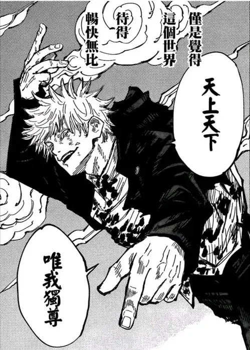 咒术回战精选美图
