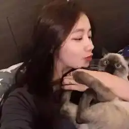私藏大量猫情头,就差有个男朋友
