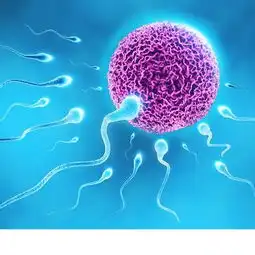 两性健康男科疾病健康经验分享第21页39问医生39健康网
