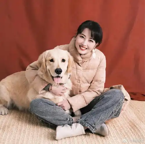周海媚是港风明星吗今日头条
