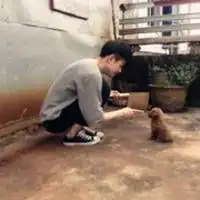 他的眼似海却终不为我蓝
