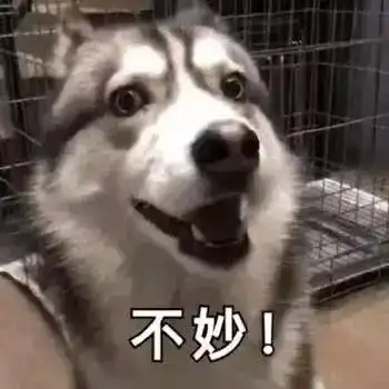 one荐美甲逼死强迫症的水滴美甲,你敢尝试吗
