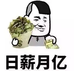lv当垃圾袋兄弟你怕是钱太多了花不出去
