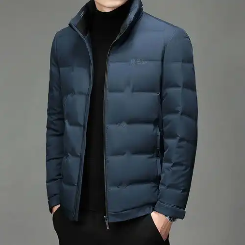汤河之家2021冬季新款白鸭绒羽绒服男时尚立领外套商务休闲大衣男潮流
