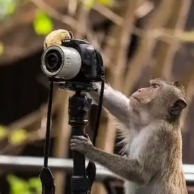 番茄炒麦麦的个人空间acfun弹幕视频网认真你就输啦ω
