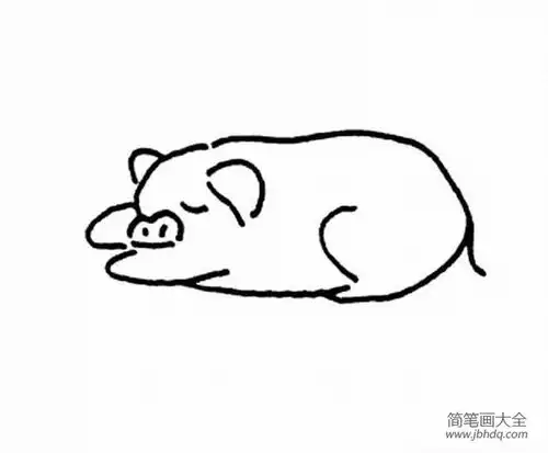 关于猪的简笔画图片
