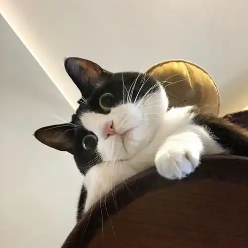 炫壁纸的照片微相册其他
