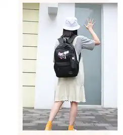 迪阿伦小清新学院风高中学生书包女韩版大容量初中学生男背包帆布双肩包
