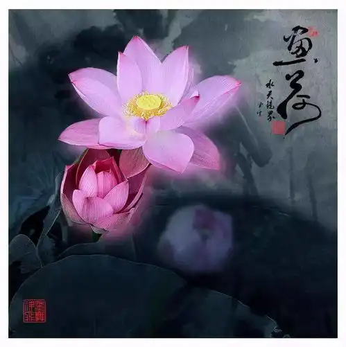 宽心深度好文